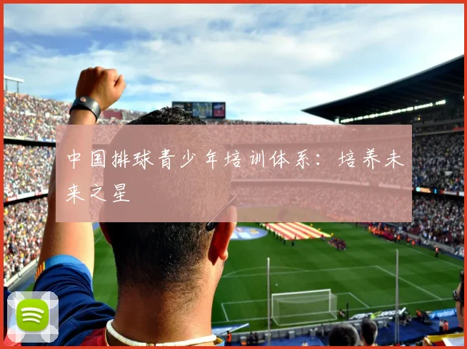 中国排球青少年培训体系:培养未来之星