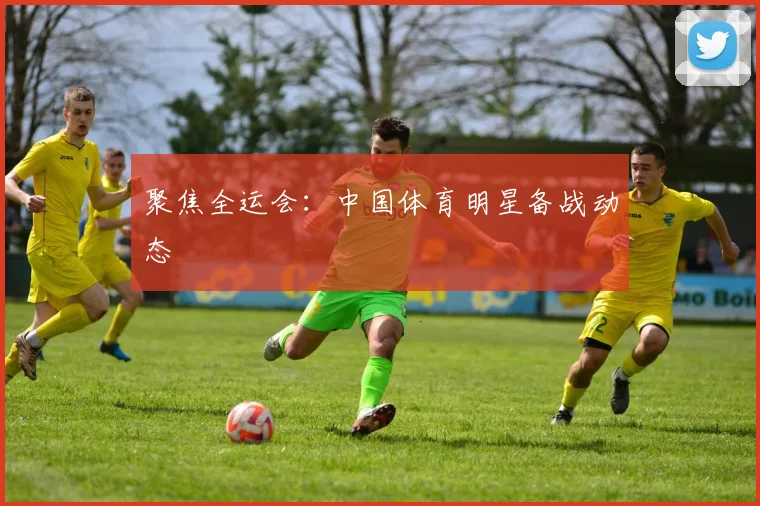 聚焦全运会：中国体育明星备战动态