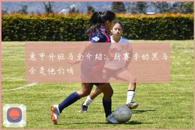 意甲升班马全介绍：新赛季的黑马会是他们吗