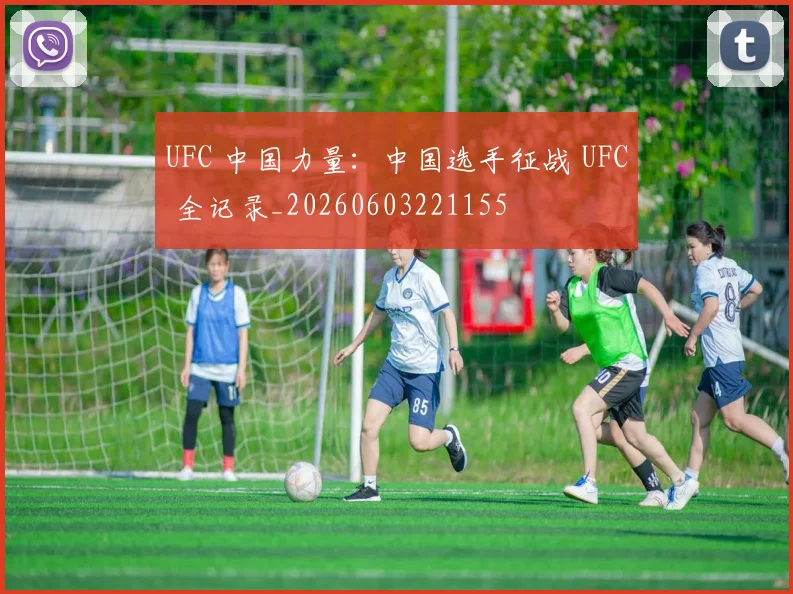 UFC 中国力量：中国选手征战 UFC 全记录_20260603221155