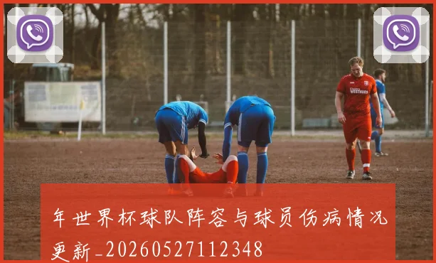 年世界杯球队阵容与球员伤病情况更新_20260527112348