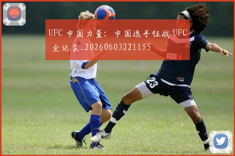 UFC 中国力量：中国选手征战 UFC 全记录_20260603221155