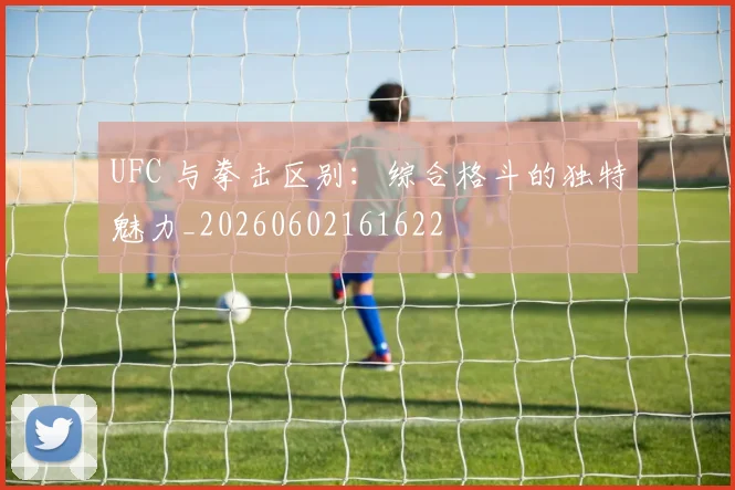 UFC 与拳击区别:综合格斗的独特魅力_20260602161622